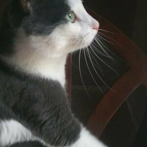 Fundraising Page: Becky Helms